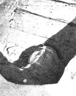 国民党名将张灵甫在孟良崮地区被击毙(todayonhistory.com)