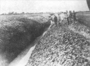 日本人制造万宝山事件(todayonhistory.com)