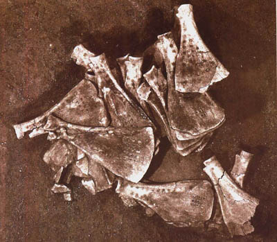 安阳殷墟开始发掘(todayonhistory.com)