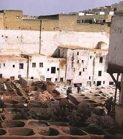 汪达尔人劫掠罗马(todayonhistory.com)