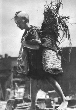 戏剧家阳翰笙逝世(todayonhistory.com)
