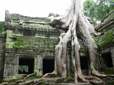 我国与柬埔寨建立外交关系(todayonhistory.com)
