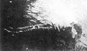 赵尔丰大肆屠杀成都市民(todayonhistory.com)