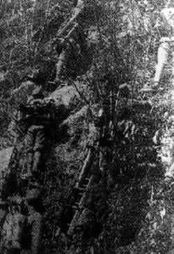 枣宜会战开始(todayonhistory.com)