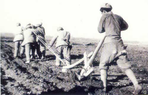 新中国组建新疆生产建设兵团(todayonhistory.com)