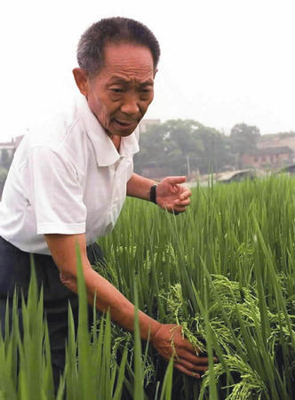 “杂交水稻之父”袁隆平出生(todayonhistory.com)